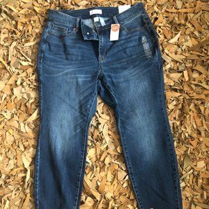 LB Super Stretch Curvy Fit High Rise Skinny SZ 18